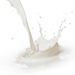 Le lait de chèvre et le lait de vache ont la même teneur en calcium ?