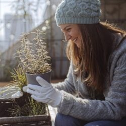 Comment protéger ses plantes en hiver ?