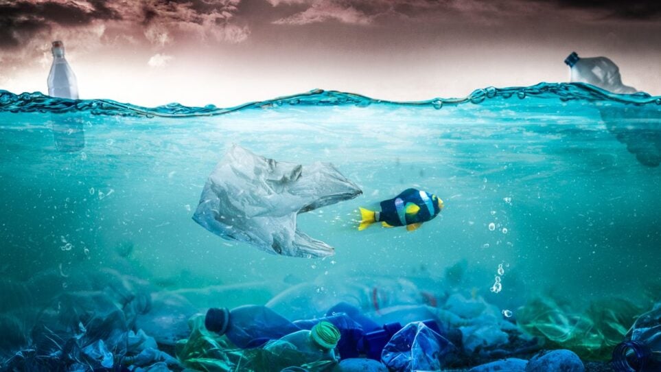 Parley et adidas toujours plus engagés dans la lutte contre la pollution des océans