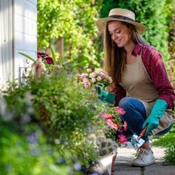Les 3 meilleures applis pour embellir votre jardin