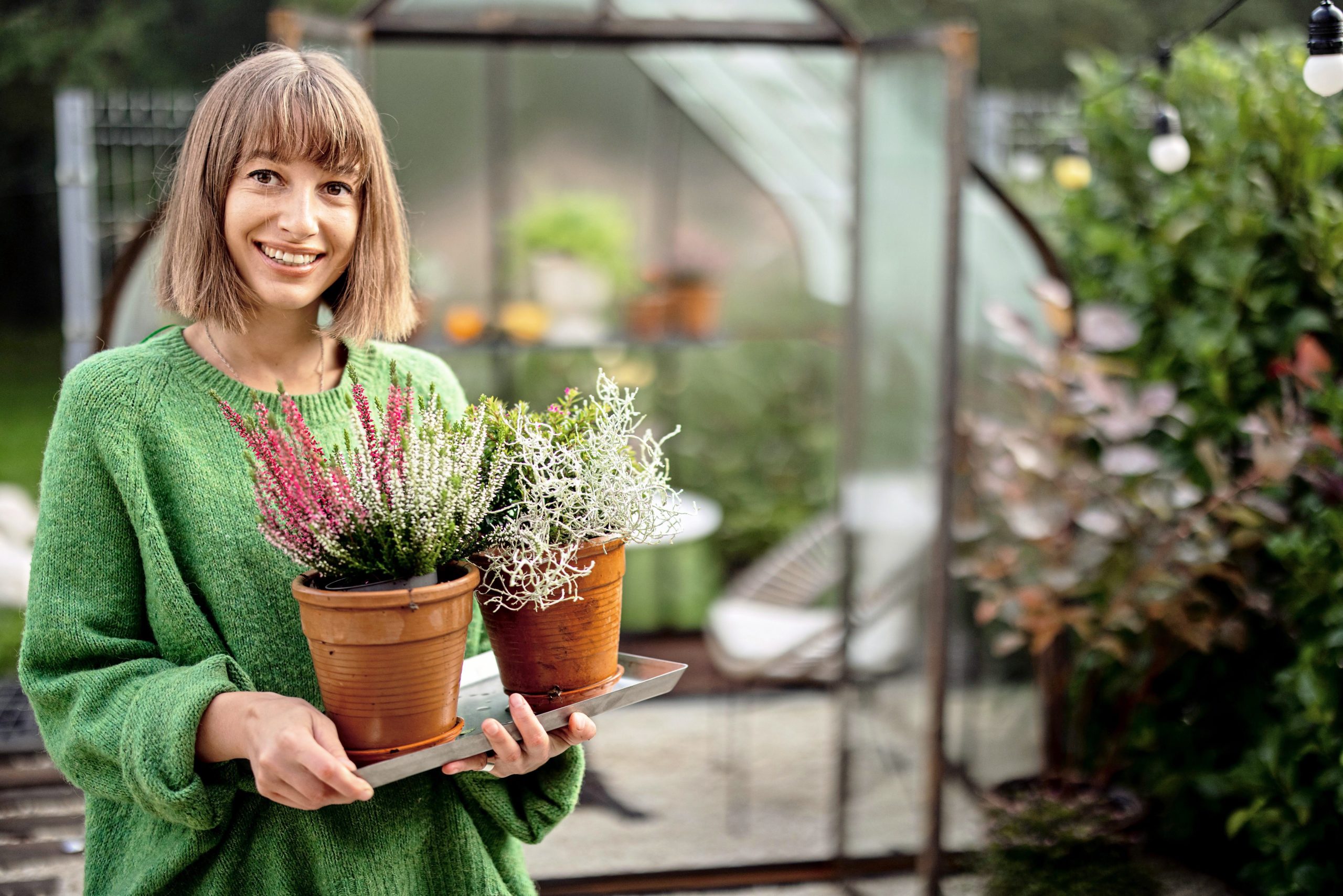 Jardin : pour protéger vos plantes du froid, pensez au voile d'hivernage