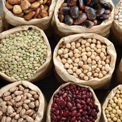 Alimentation durable : pourquoi les haricots ont tout bon ?
