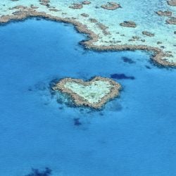 La Grande Barrière de corail, une œuvre d’art naturelle